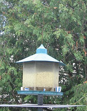 plastic silo bird feeder
