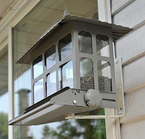 squirrel-proof bird feeder that doesn't work