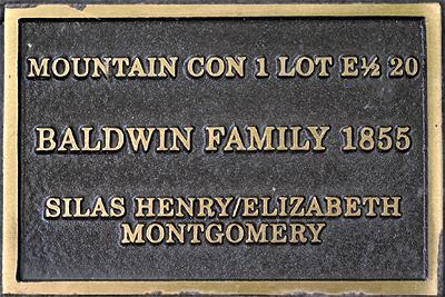 Mountain Con 1 Lot E½ 20; Baldwin Family 1885; Silas Henry/Elizabeth Montgomery